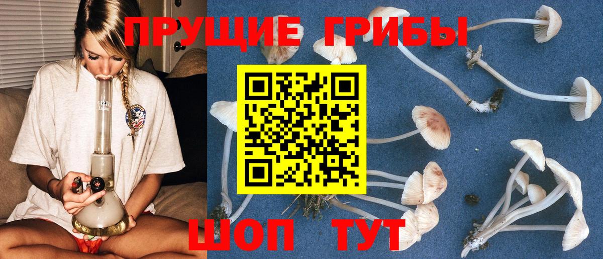 Менделеевск  Псилоцибиновые грибы Psilocybe  Псилоцибиновые грибы MAGIC MUSHROOMS  Вход с VPN 